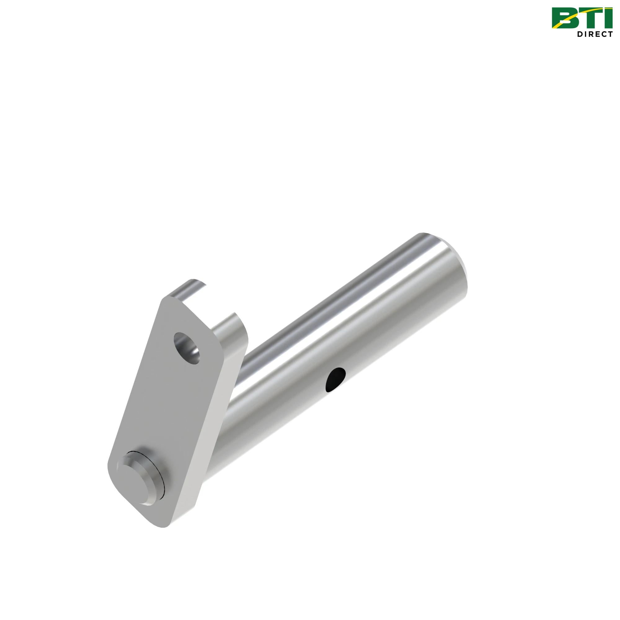 AL231898: Shaft