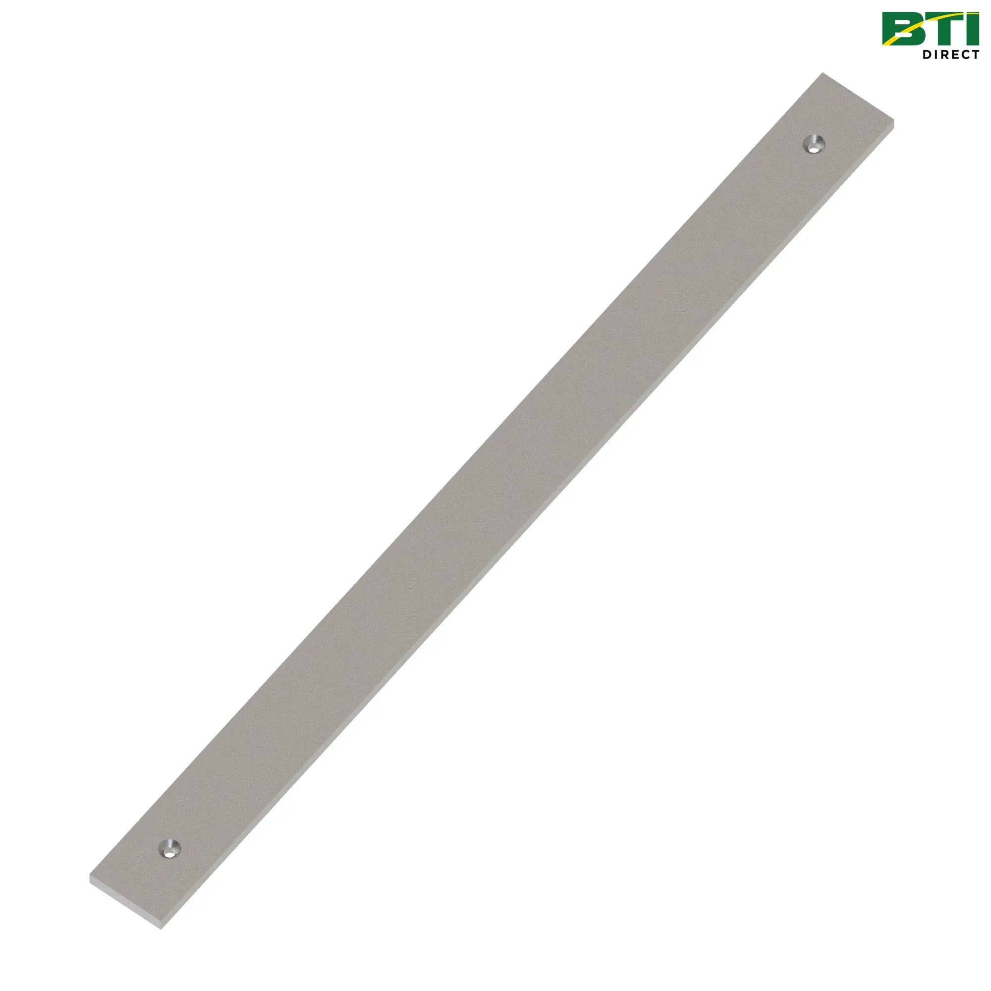 N272393: Strip, Chain Guide