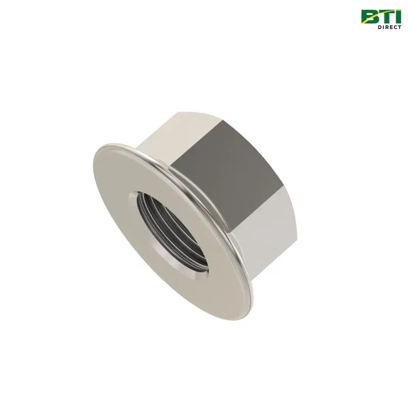 N310298: Hexagonal Lock Nut, M10