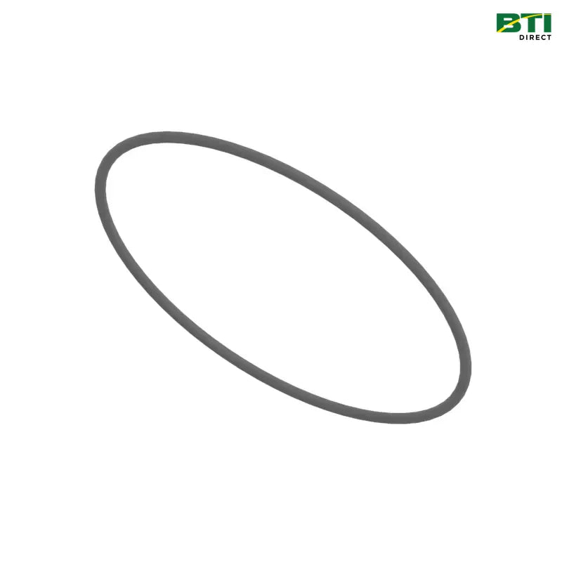 N203952: O-Ring