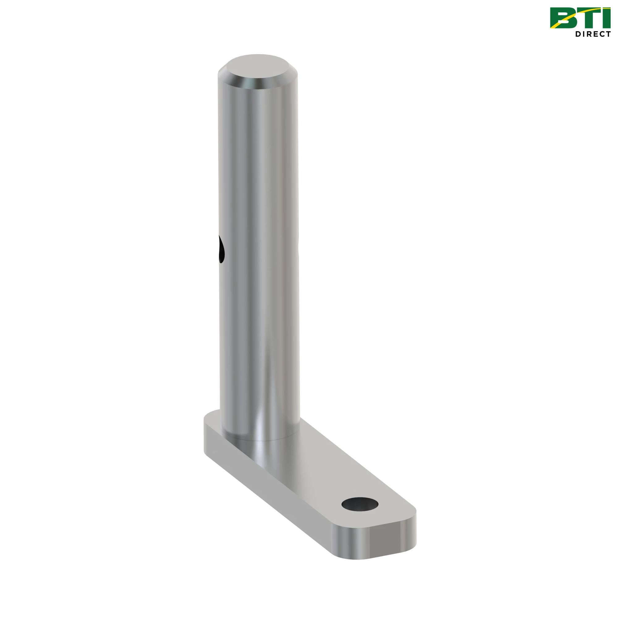 AL231898: Shaft