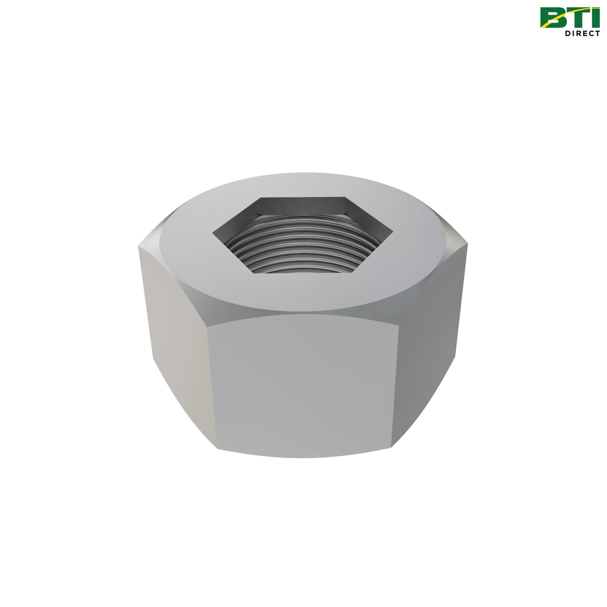AL174183: Hexagonal Lock Nut, M18