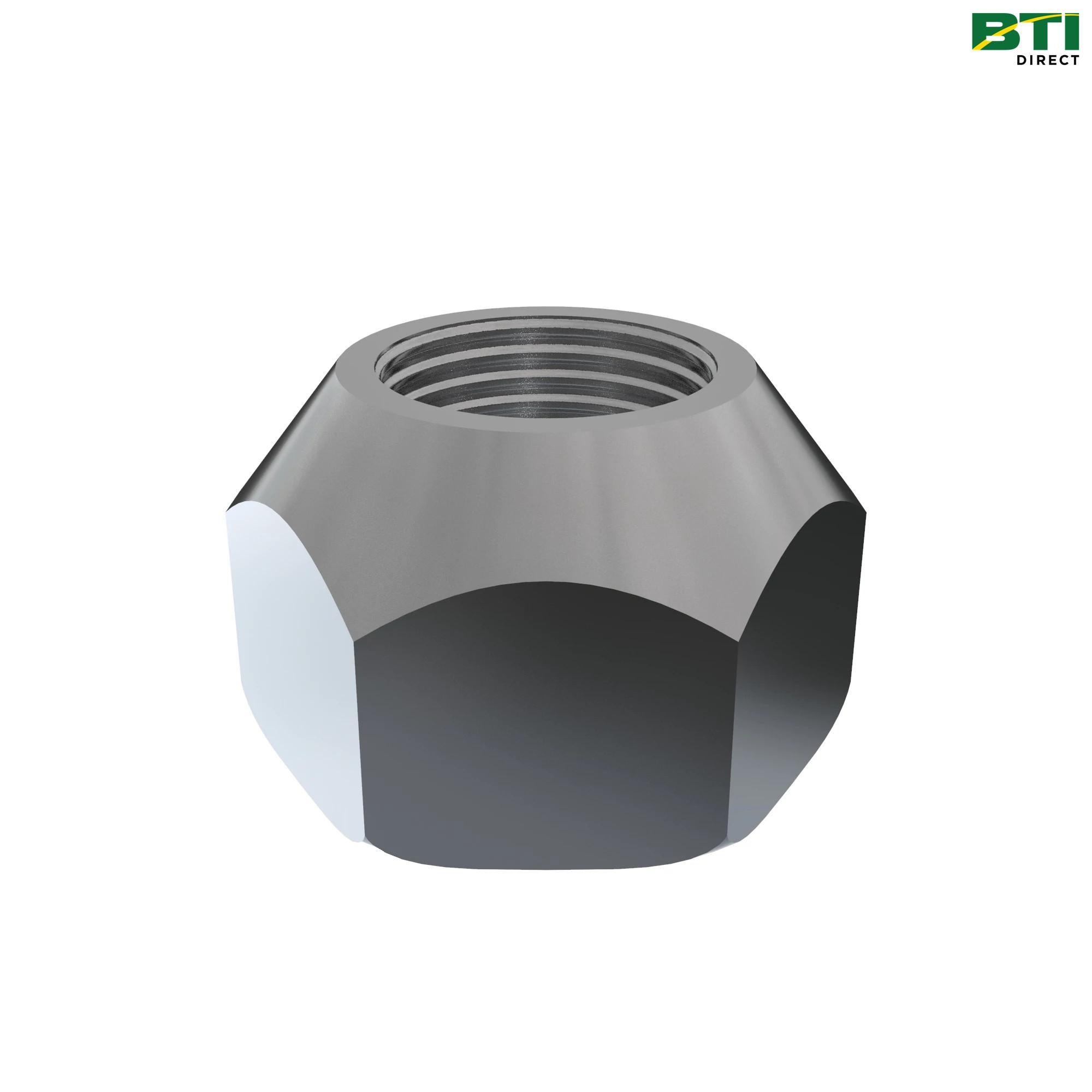 A69542: Hexagonal Nut, M20