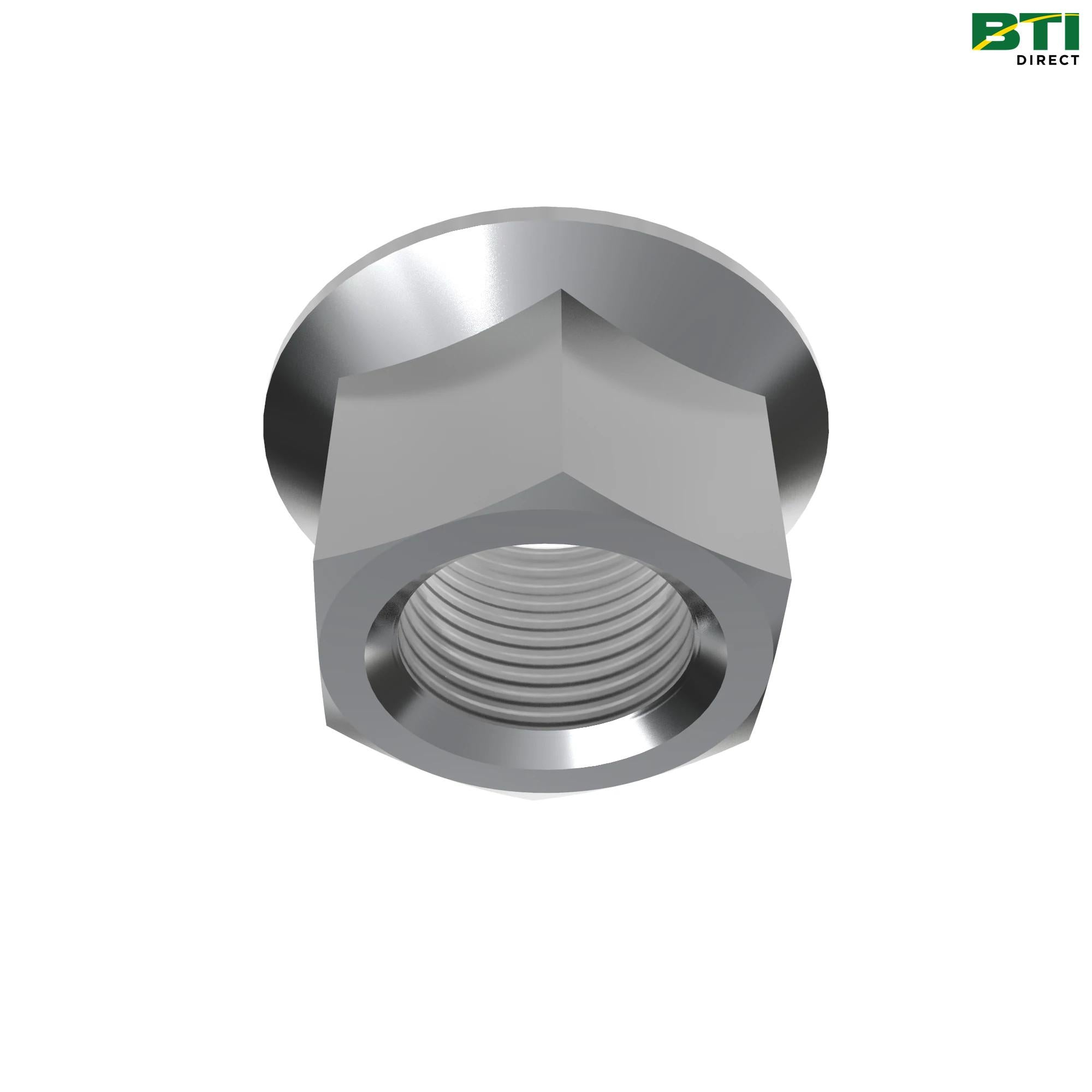 H149361: Hexagonal Lock Nut, M20
