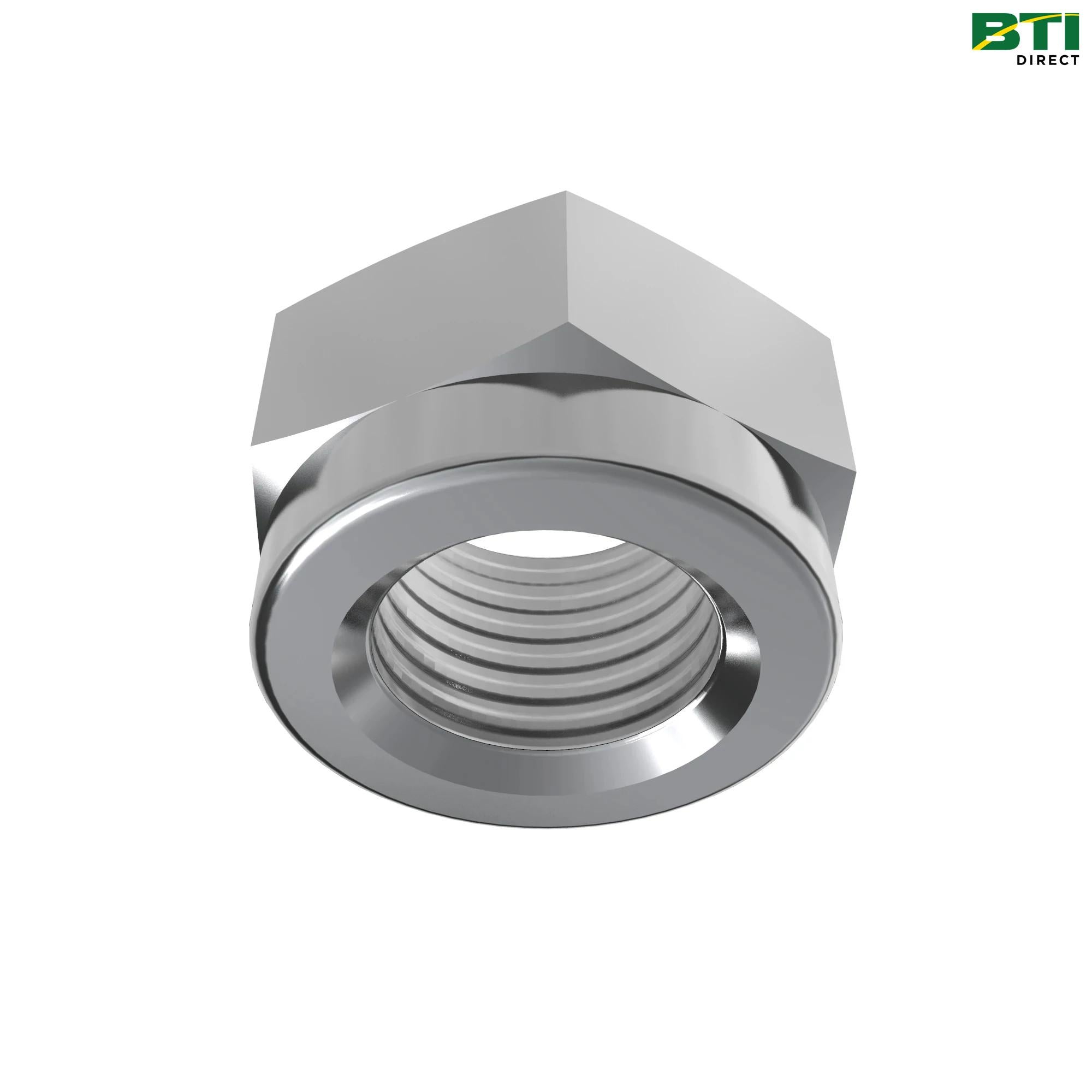 L55841: Hexagonal Nut, M41
