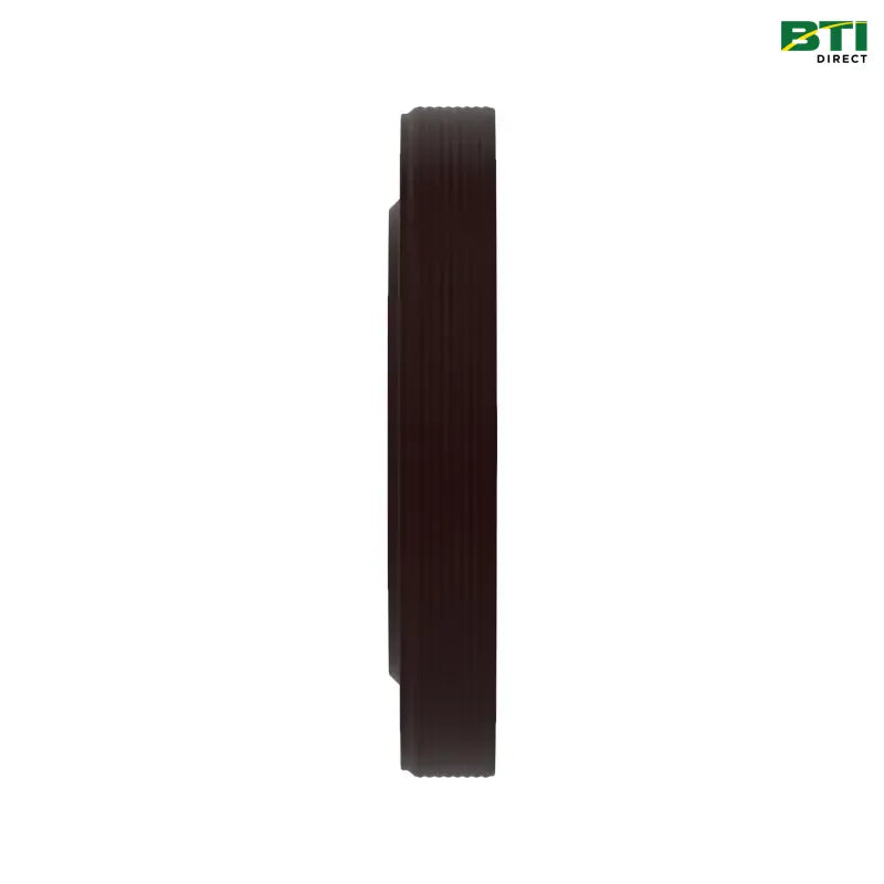 RE300810: Internal Oil Seal