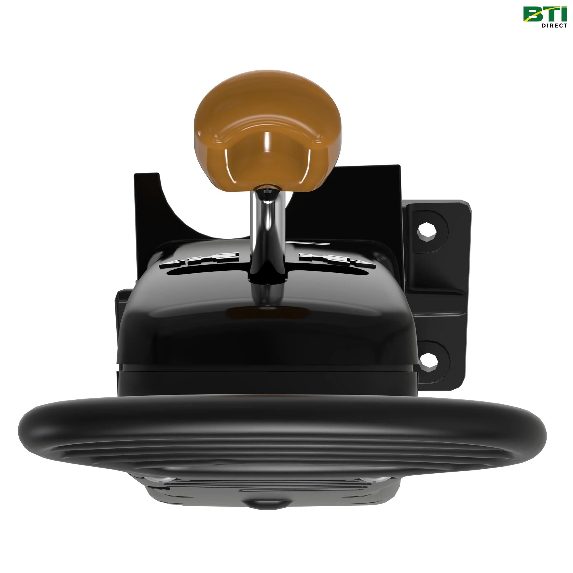 AL169827: Black Lever