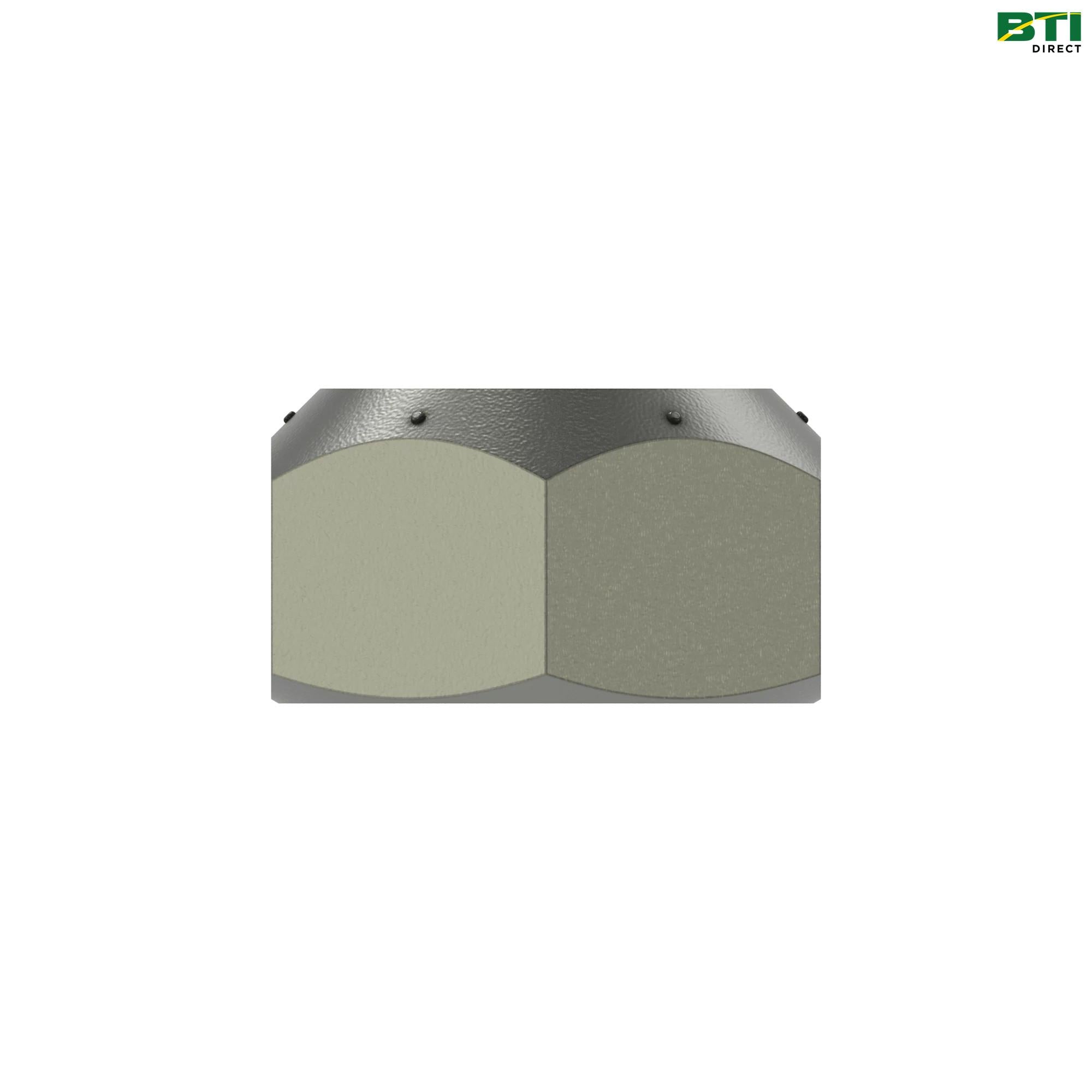 W50958: Hexagonal Lock Nut