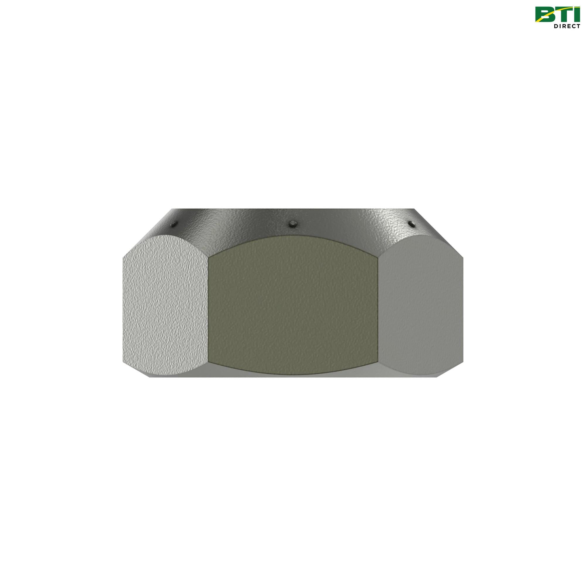 W50958: Hexagonal Lock Nut