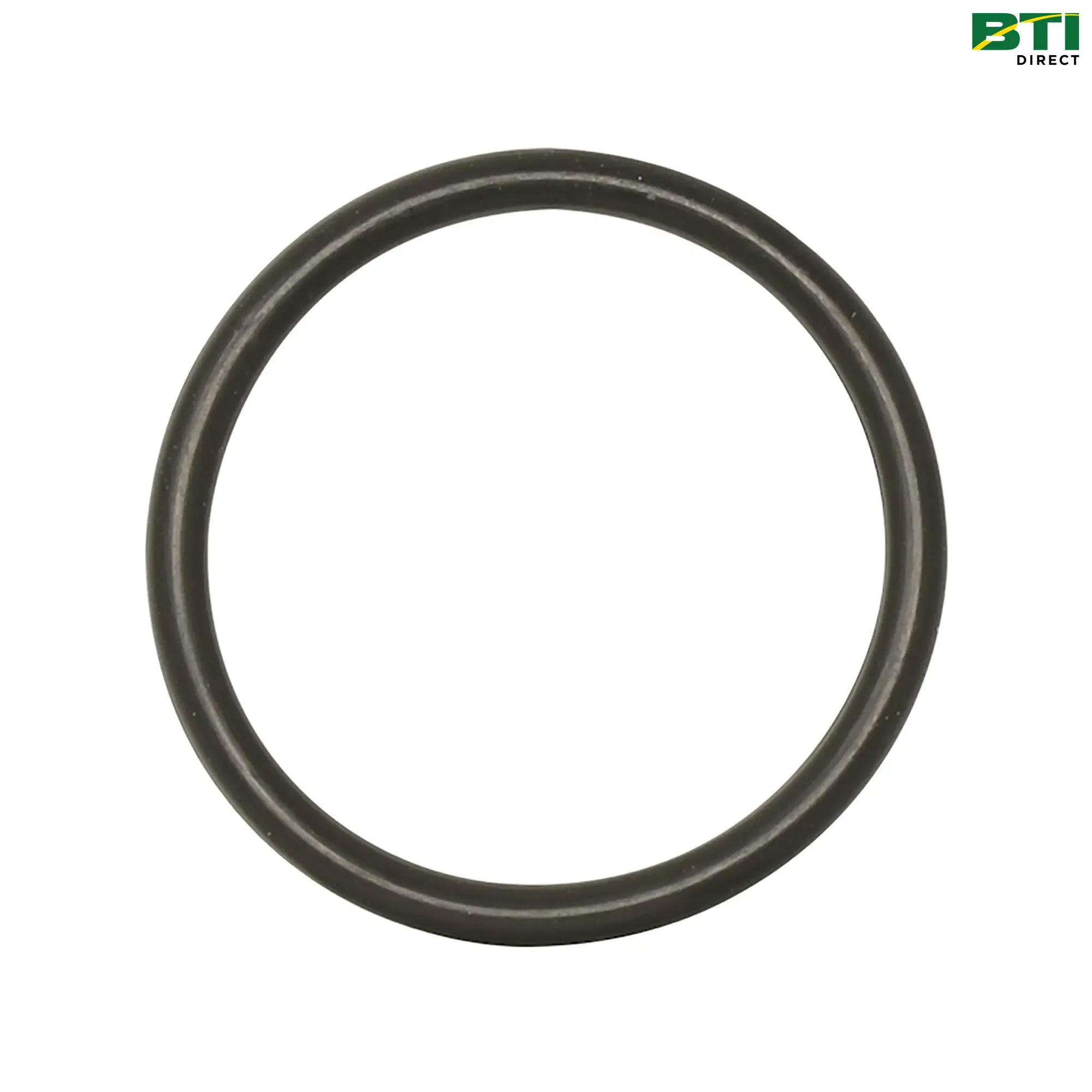N400813: O-Ring