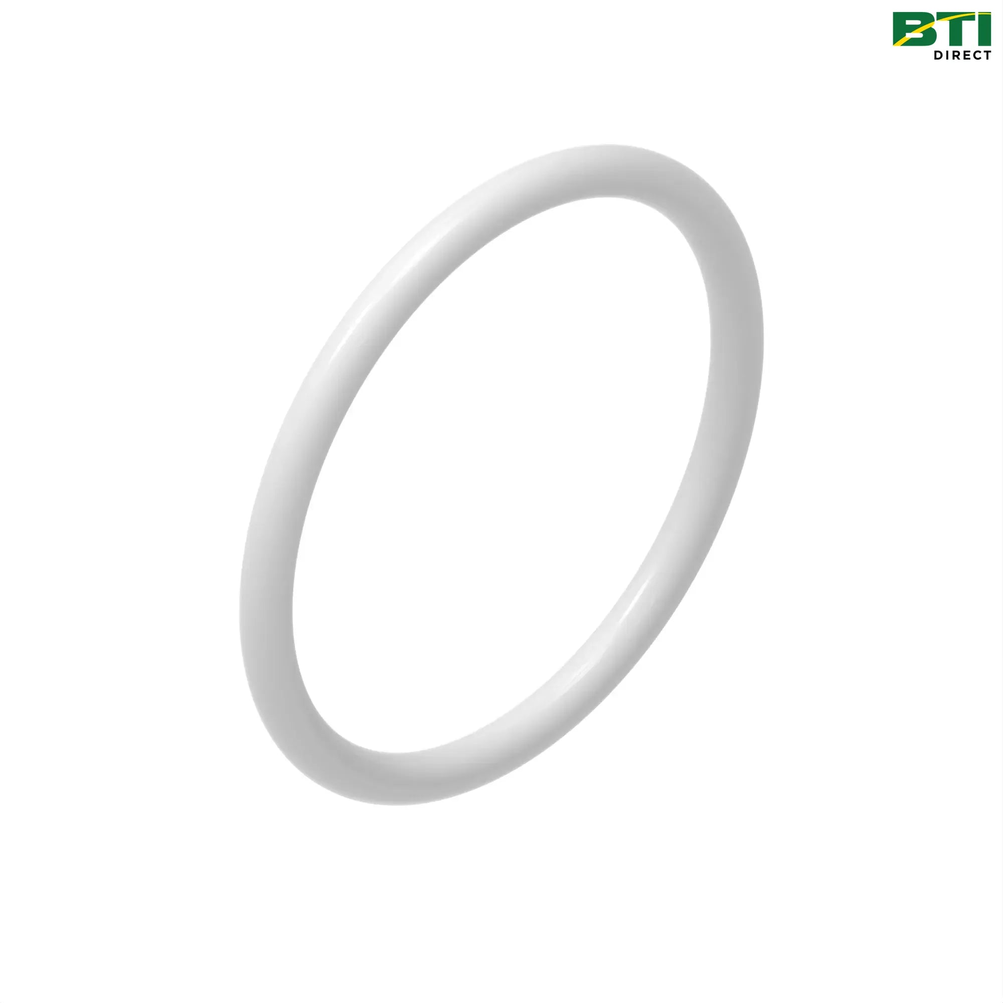 N302012: O-Ring