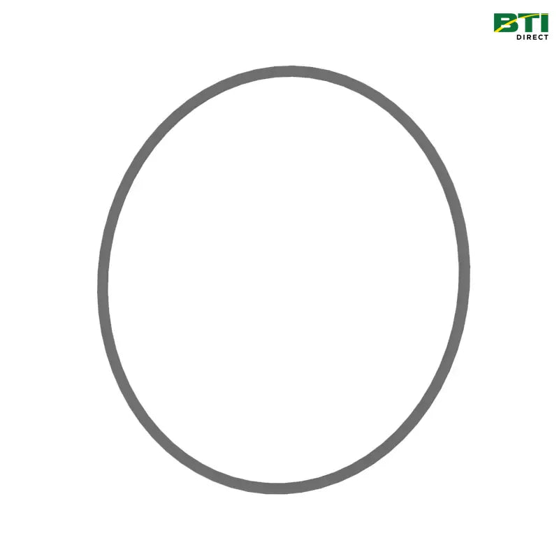 N203952: O-Ring