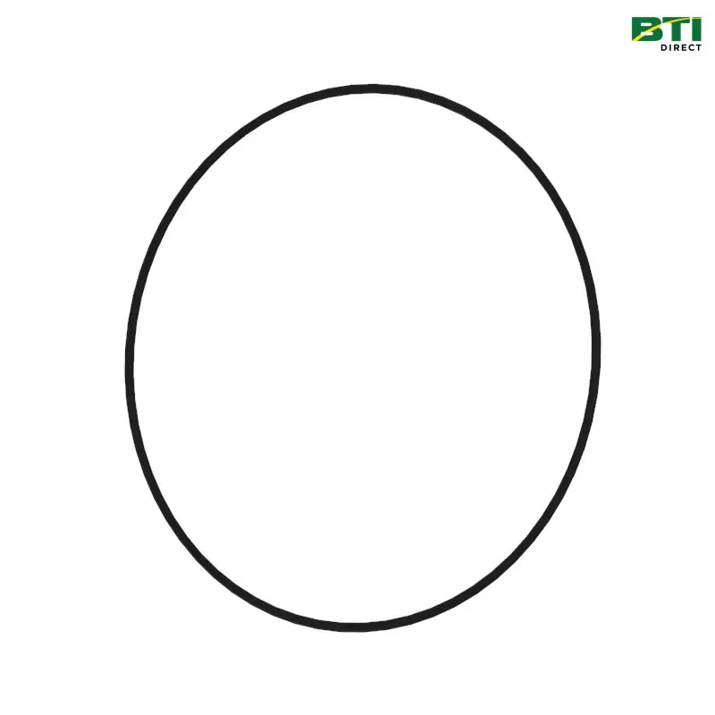 N316797: O-Ring