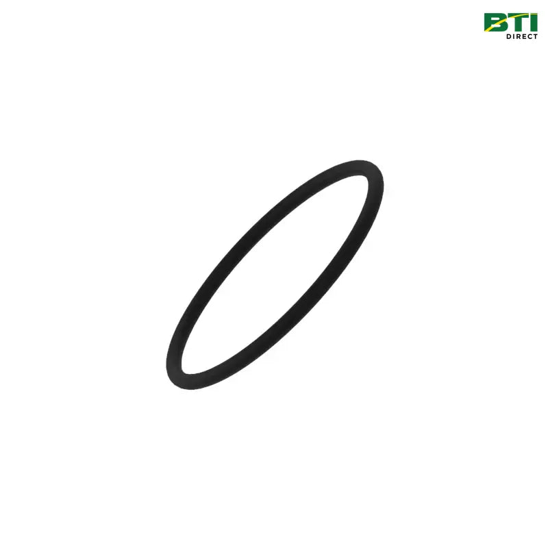 N208245: O-Ring