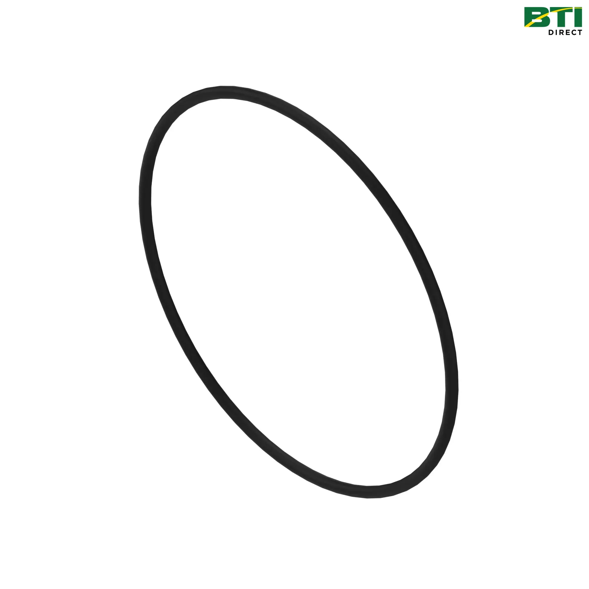 N319870: O-Ring