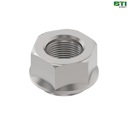 N381548: Hexagonal Flange Nut, M22