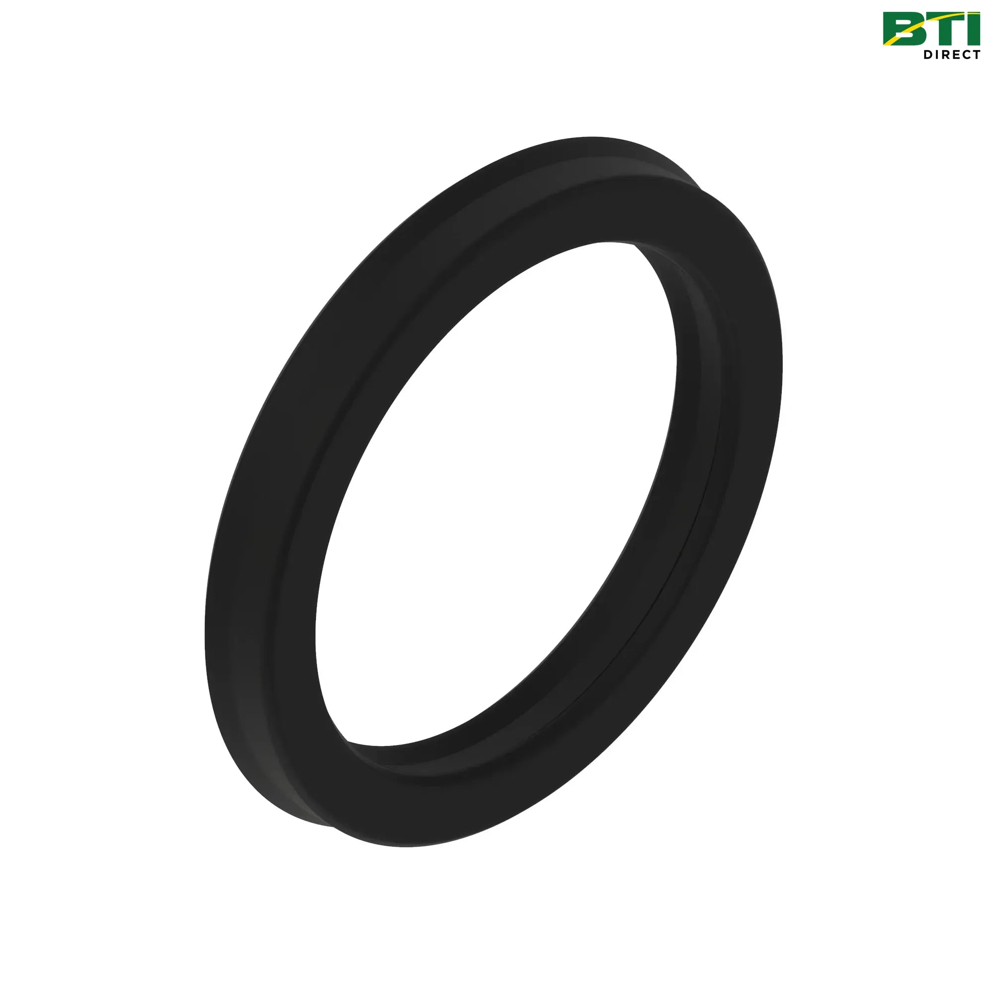 RE310185: Piston and Rod Seal