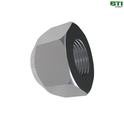 A69542: Hexagonal Nut, M20