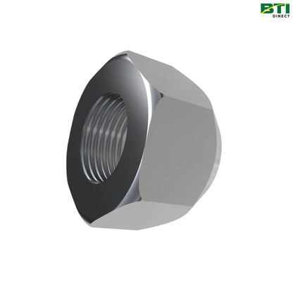 A69542: Hexagonal Nut, M20