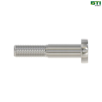 A74497: Cylindrical Head Screw, M20