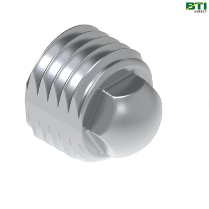 A76179: Cap Plug