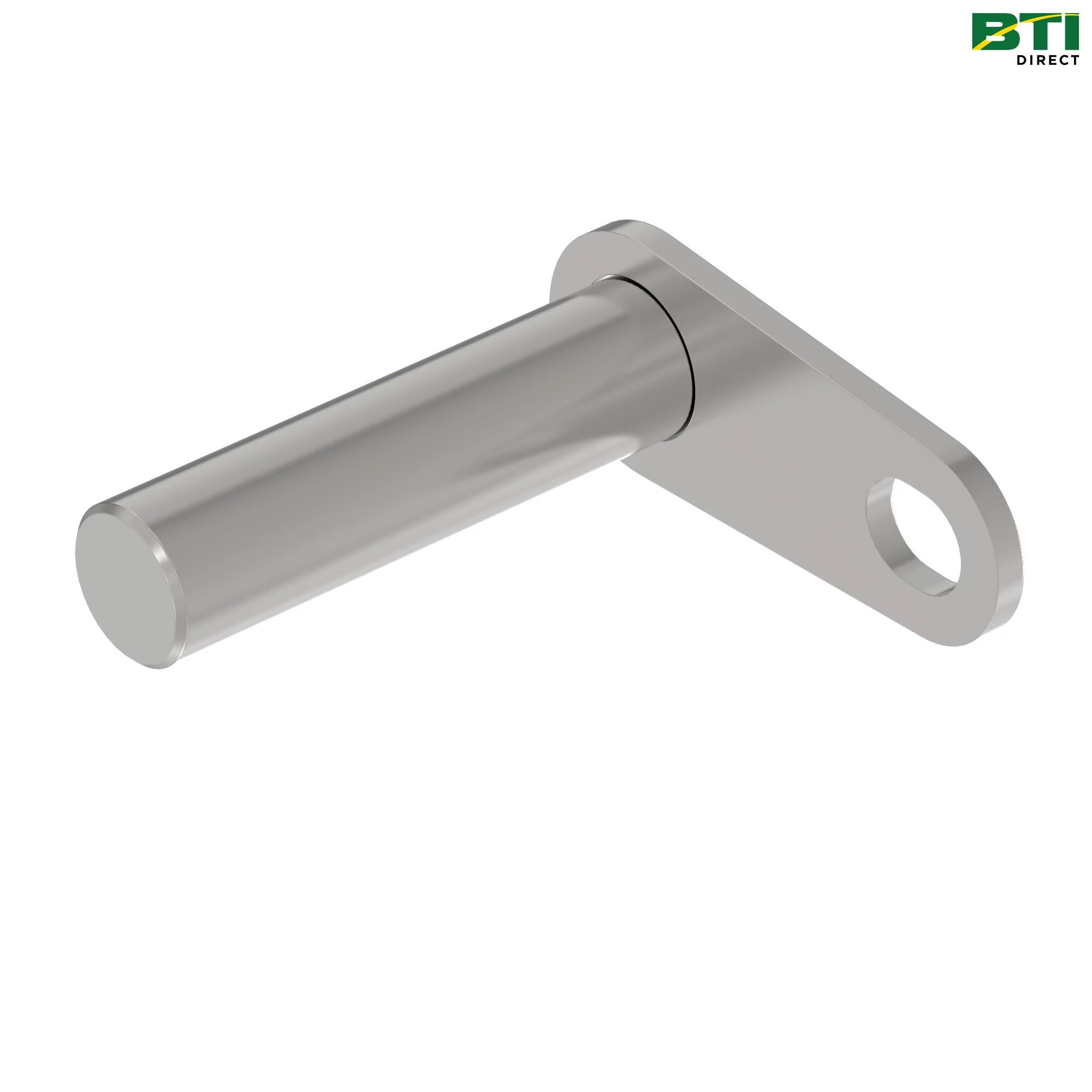 AKK18189: Flag Pin