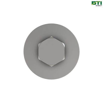 AM127890: Screw with Washer, M10 X 29