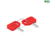 AT195302: Keys (Set of 2)