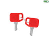 AT195302: Keys (Set of 2)