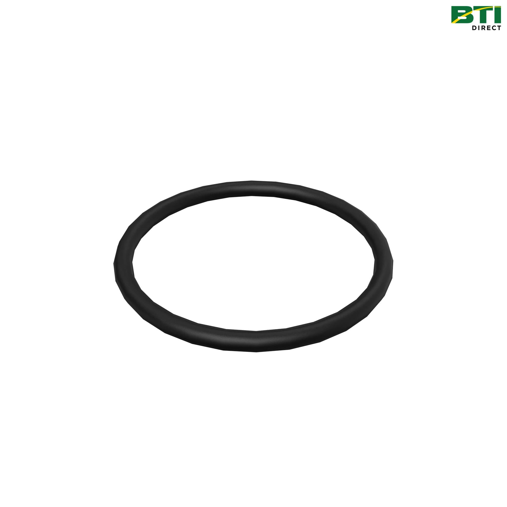CH10569: O-Ring