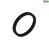 CH16106: Internal Oil Seal