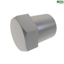  N407618: Pipe Plug