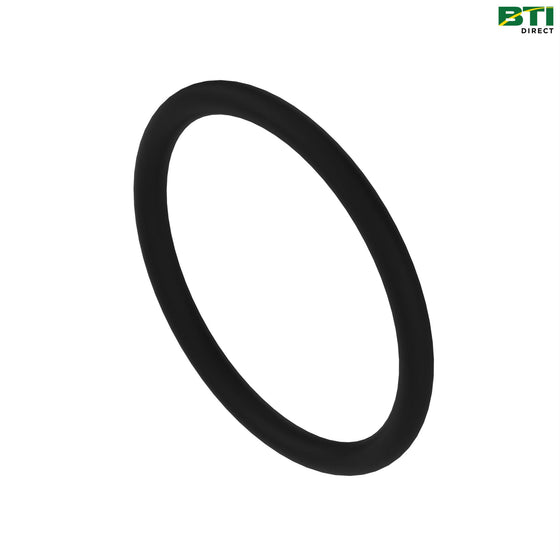 R116031: O-Ring Packing