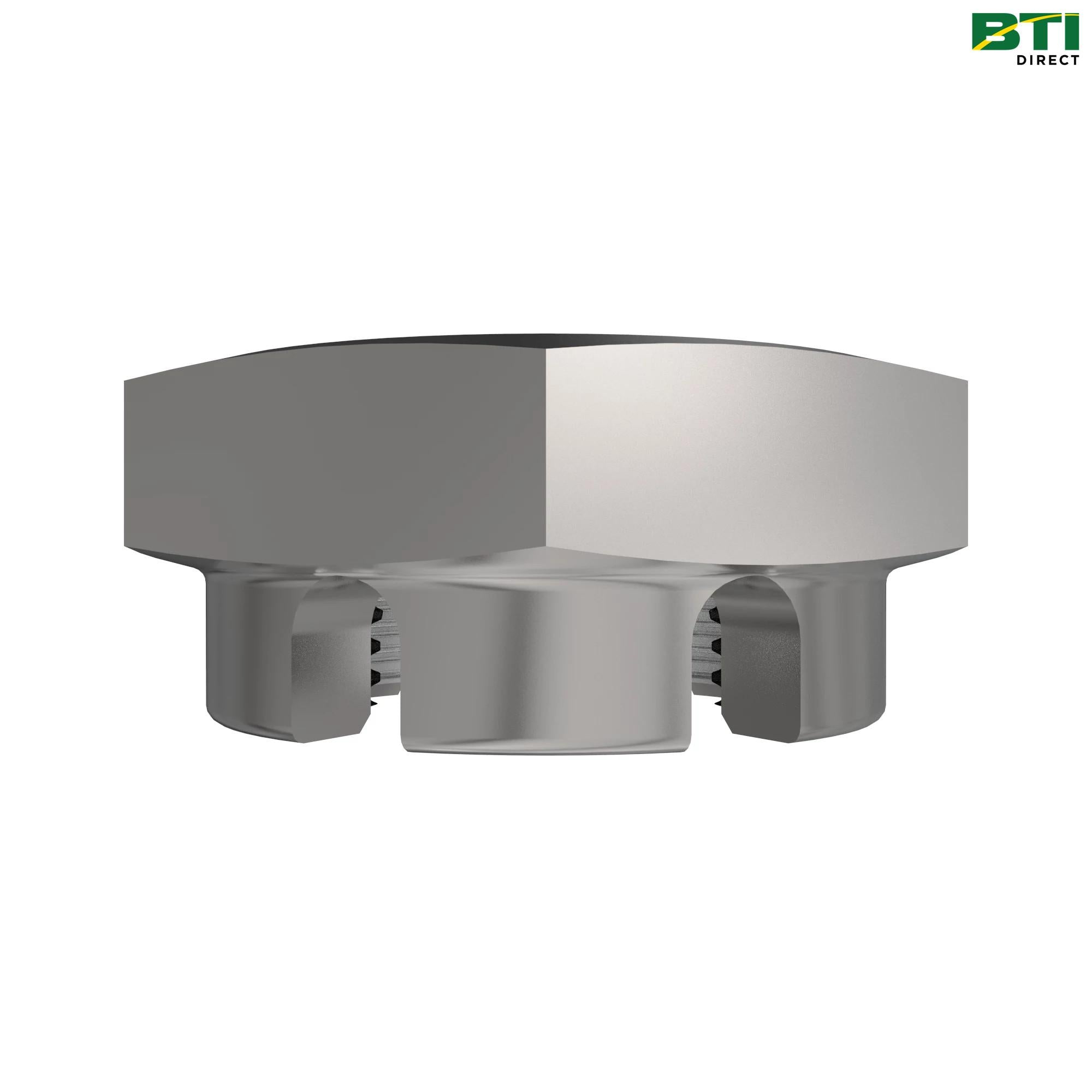 W52919: Hexagonal Slotted Nut, M30