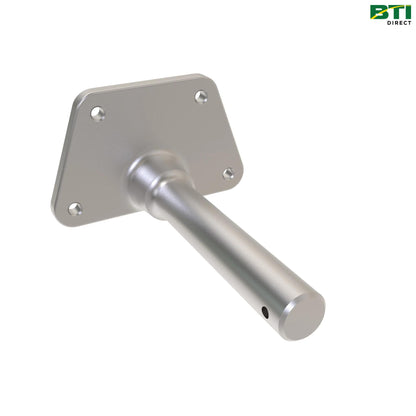 Z11373: Flag Pin
