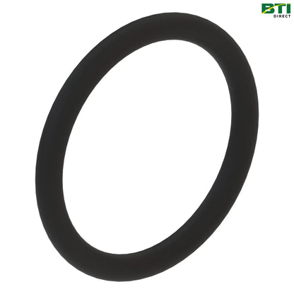 N306183: O-Ring