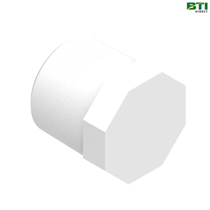 N195029: 1/2" Pipe Plug