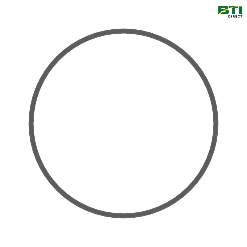 N203952: O-Ring
