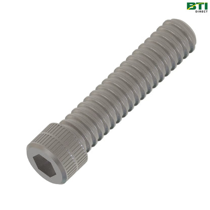 N316649: Cylindrical Head Screw