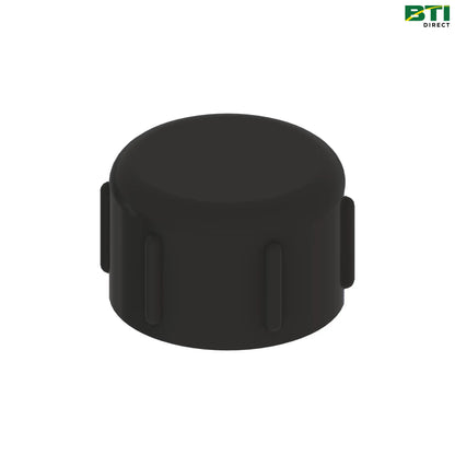 N380676: Strainer Flush Cap