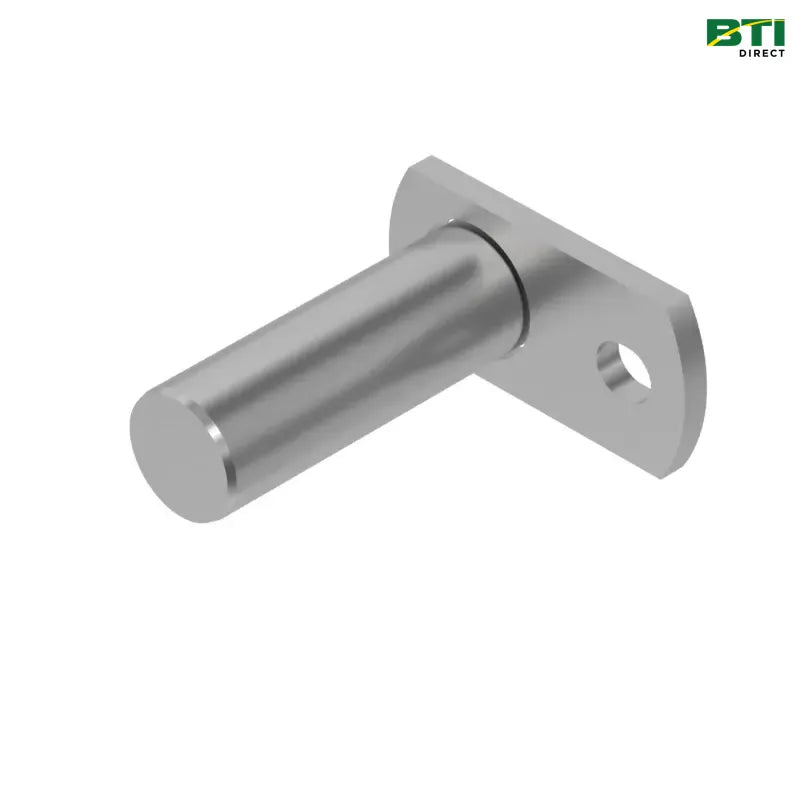 RE37198: Pin