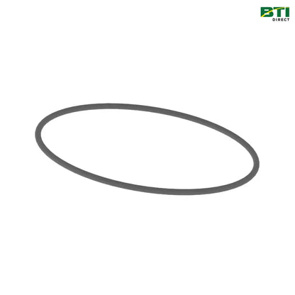 N203952: O-Ring