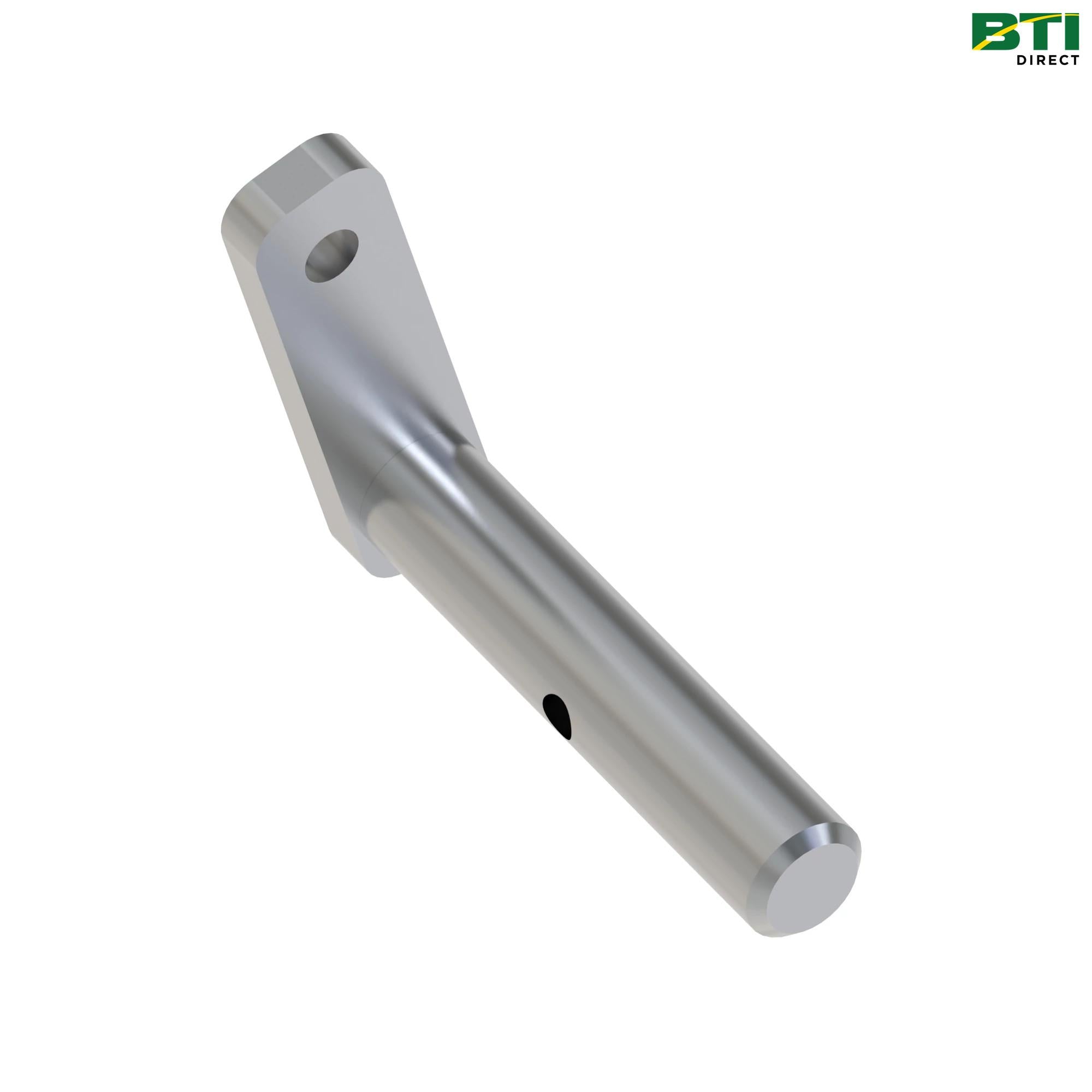 AL231898: Shaft