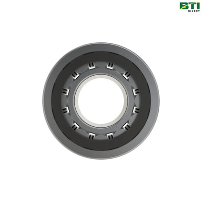 RE307582: Single Roller Bearing