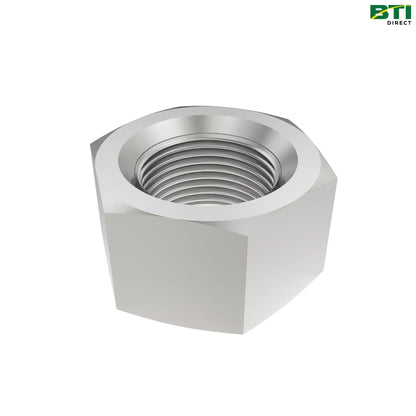 N312139: Hexagonal Nut, M22