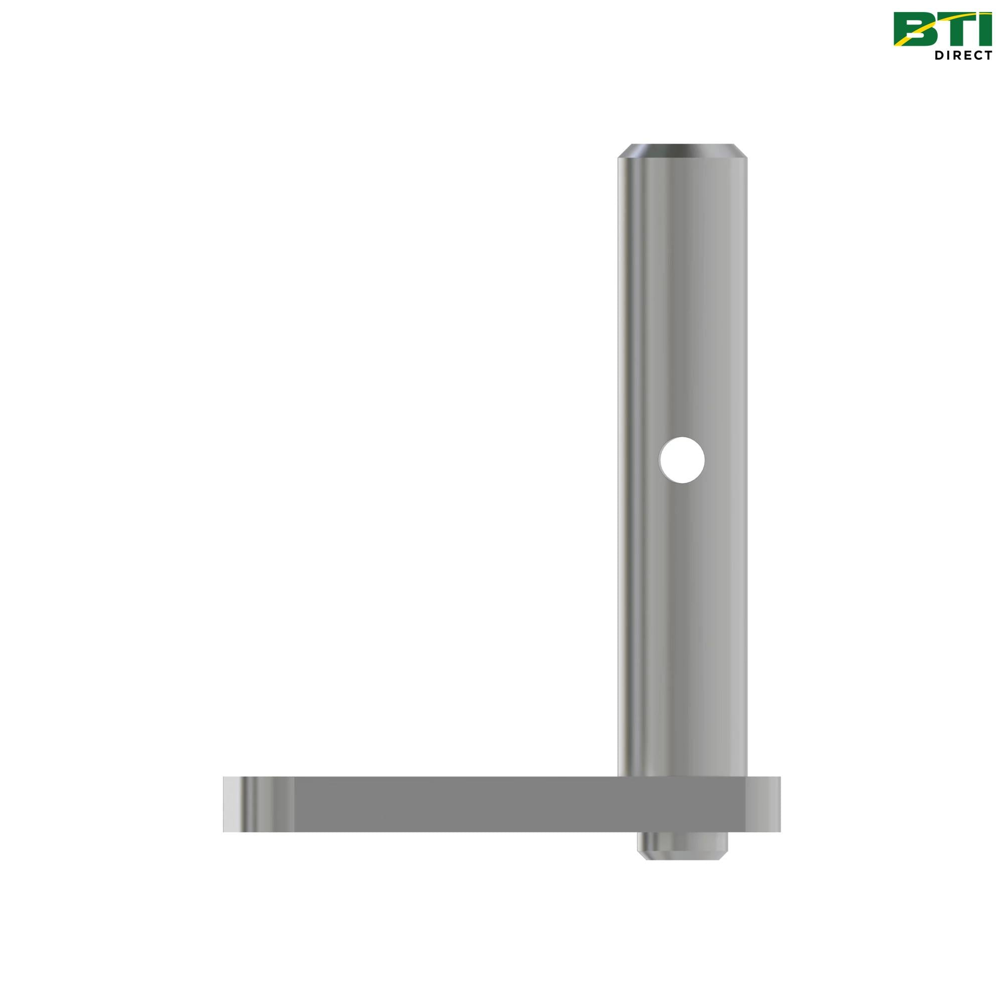 AL231898: Shaft