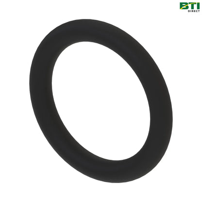 N204668: O-Ring