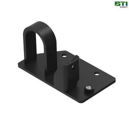 AL216365: Plate