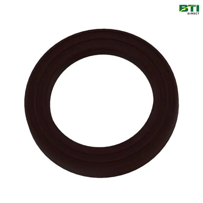 RE300810: Internal Oil Seal