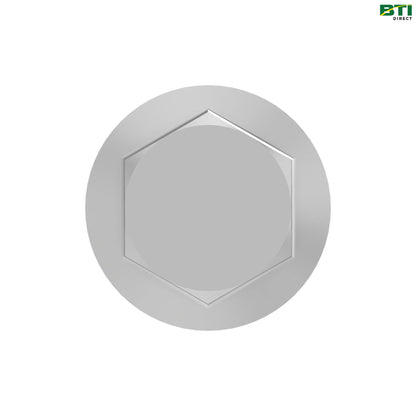 19M7815: Hexagonal Head Flanged Screw, M12 X 60